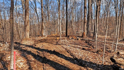 Tiny photo for 7594 N Shilo Road, Unionville, IN 47468 (MLS # 202607873)