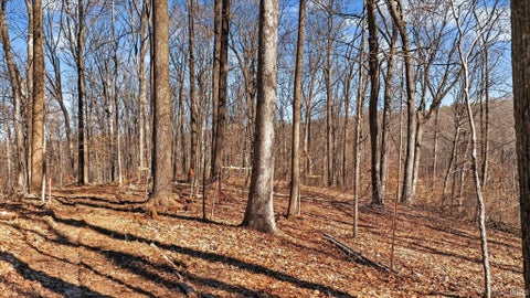 Tiny photo for 7594 N Shilo Road, Unionville, IN 47468 (MLS # 202607873)
