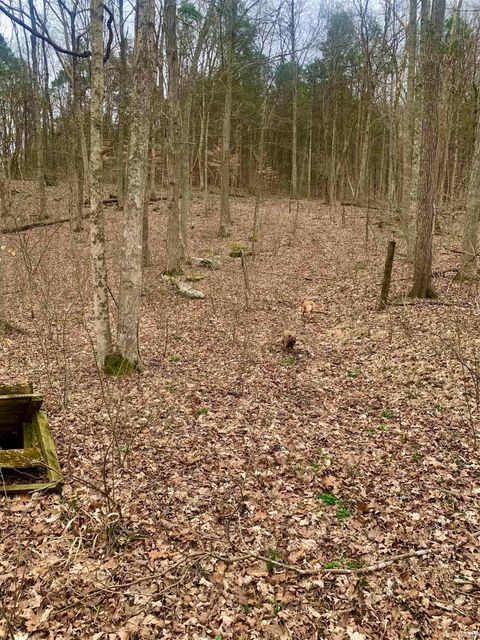 Tiny photo for 0 Pilot Knob Road, Milltown, IN 47145 (MLS # 202607651)