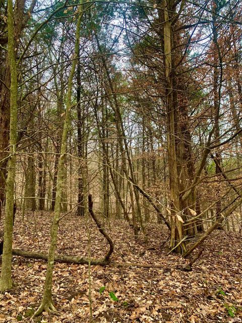 Tiny photo for 0 Pilot Knob Road, Milltown, IN 47145 (MLS # 202607651)