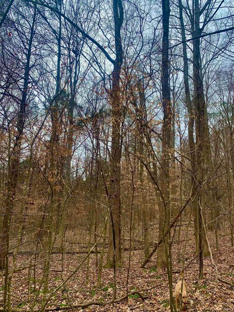 Tiny photo for 0 Pilot Knob Road, Milltown, IN 47145 (MLS # 202607651)