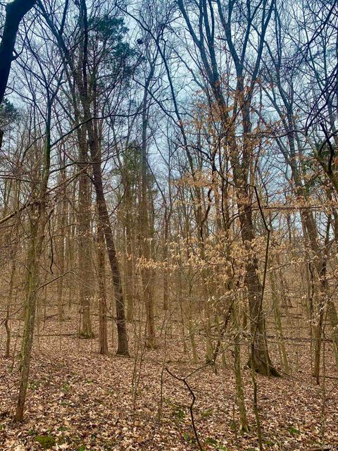 Tiny photo for 0 Pilot Knob Road, Milltown, IN 47145 (MLS # 202607651)