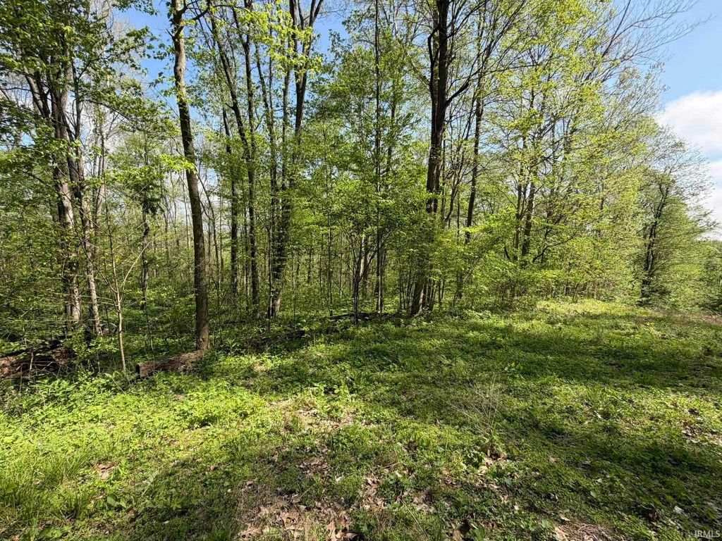 Photo of TBD Coon Path Road, Spencer, IN 47460 (MLS # 202615011)