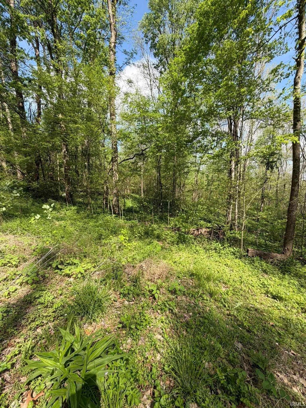 Photo of TBD Coon Path Road, Spencer, IN 47460 (MLS # 202615011)