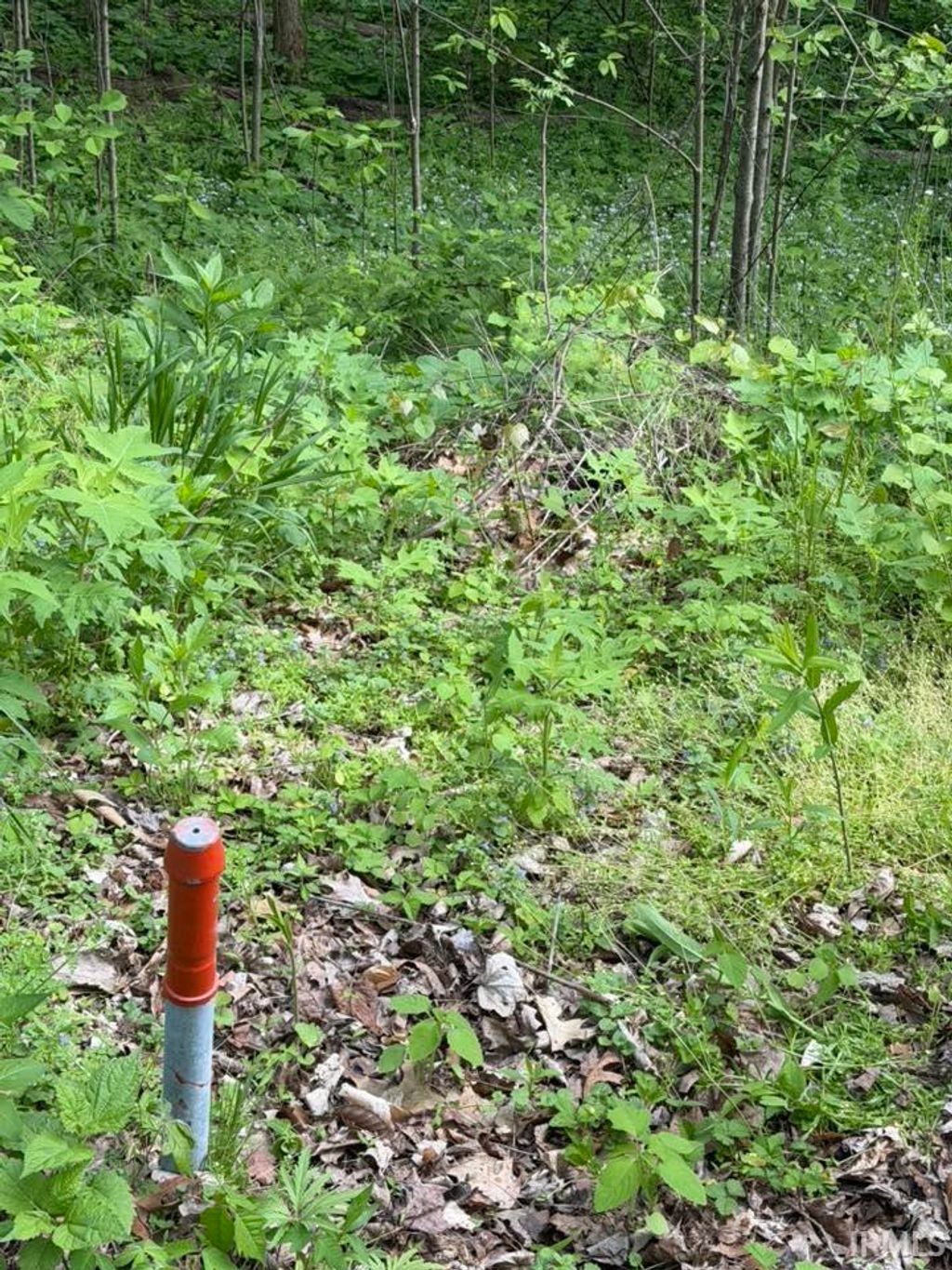 Photo of TBD Coon Path Road, Spencer, IN 47460 (MLS # 202615011)