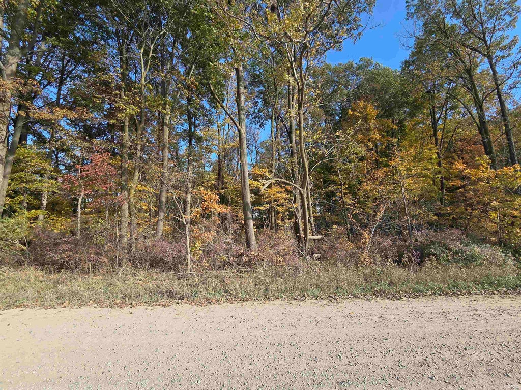 Photo of 0000 Lot 1 CR 51 Road, Butler, IN 46721 (MLS # 202644143)