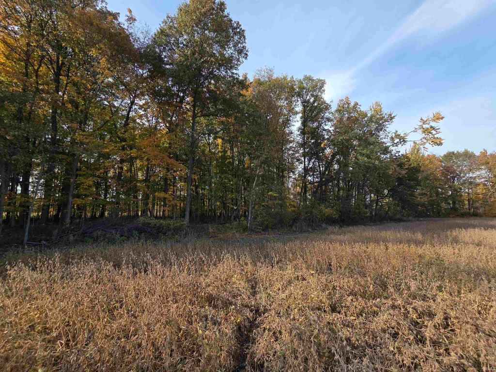 Photo of 0000 Lot 1 CR 51 Road, Butler, IN 46721 (MLS # 202644143)