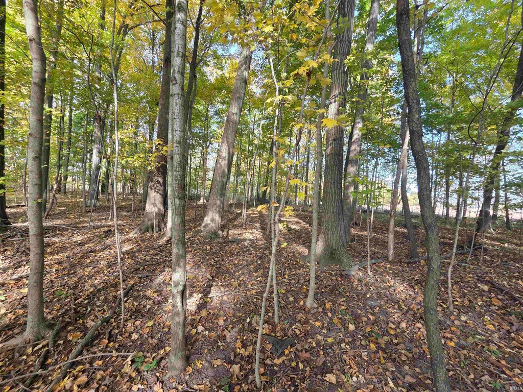 Photo of 0000 Lot 1 CR 51 Road, Butler, IN 46721 (MLS # 202644143)
