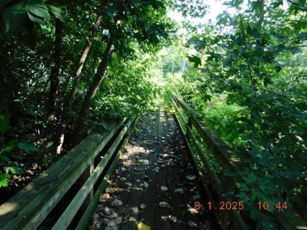 Photo of 1403 E Elm Lane, Marion, IN 46952 (MLS # 202609265)