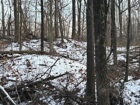 Tiny photo for Rea Cemetery Road Road, Freedom, IN 47431 (MLS # 202541330)