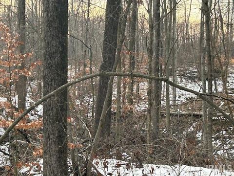 Tiny photo for Rea Cemetery Road Road, Freedom, IN 47431 (MLS # 202541330)