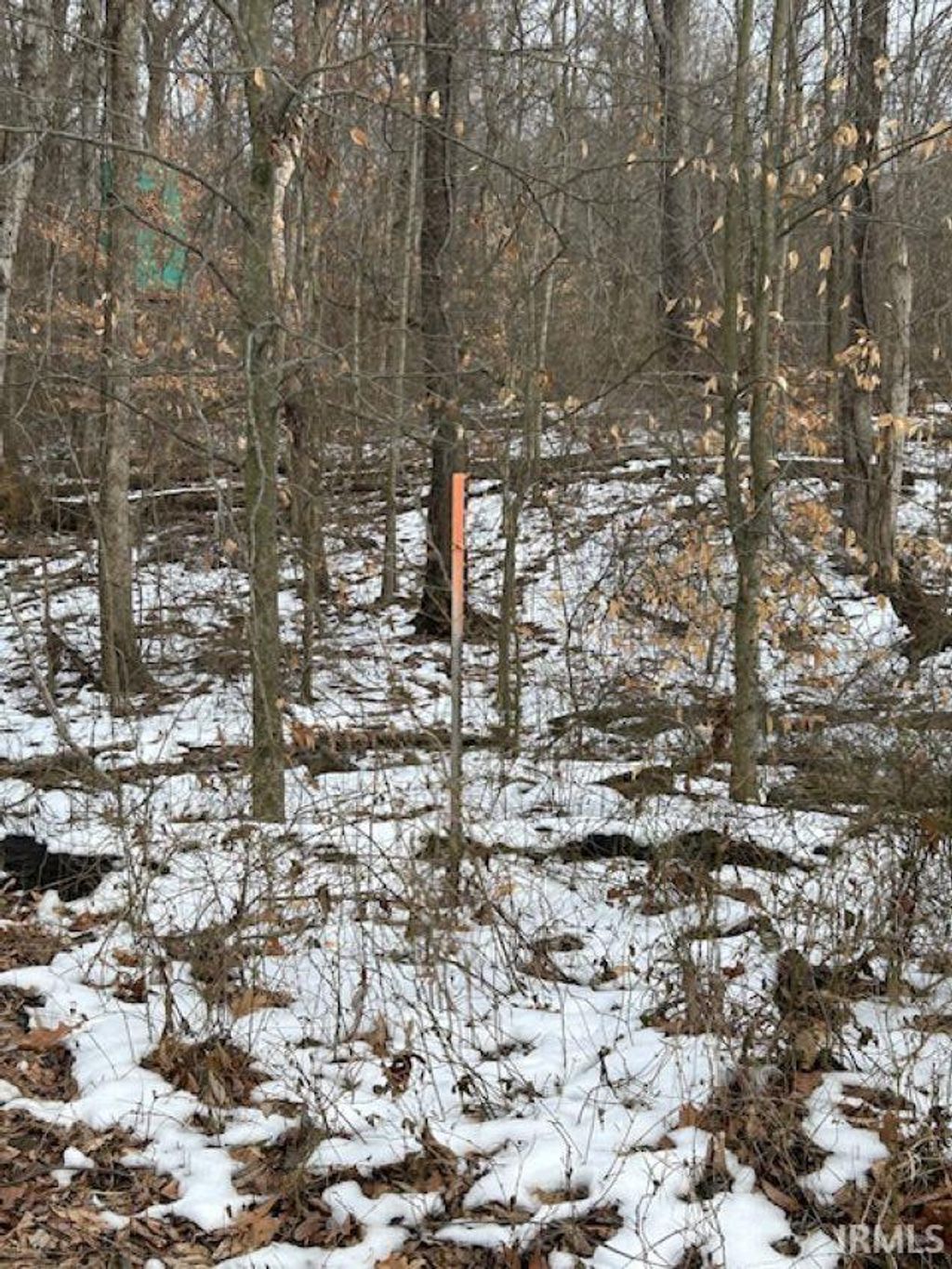 Photo of Rea Cemetery Road Road, Freedom, IN 47431 (MLS # 202541330)