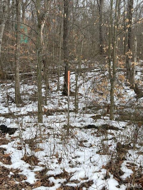 Tiny photo for Rea Cemetery Road Road, Freedom, IN 47431 (MLS # 202541330)