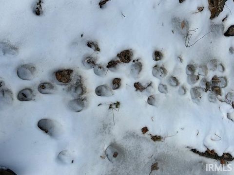 Tiny photo for Rea Cemetery Road Road, Freedom, IN 47431 (MLS # 202541330)