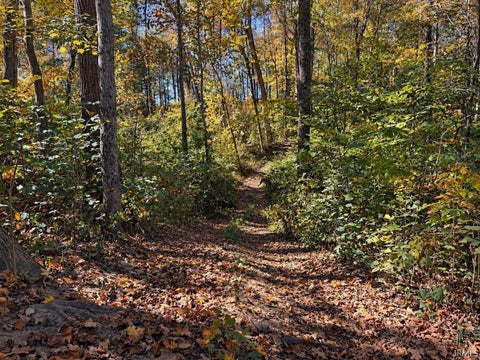 Tiny photo for 342 The Woods, Bedford, IN 47421 (MLS # 202643580)