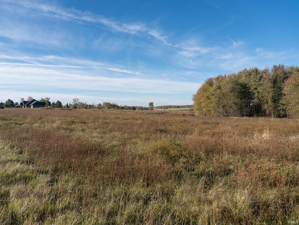 Photo of 0 State Road 327 Highway, Corunna, IN 46730 (MLS # 202543722)