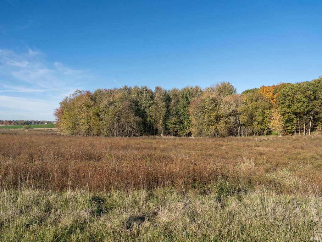 Photo of 0 State Road 327 Highway, Corunna, IN 46730 (MLS # 202543722)