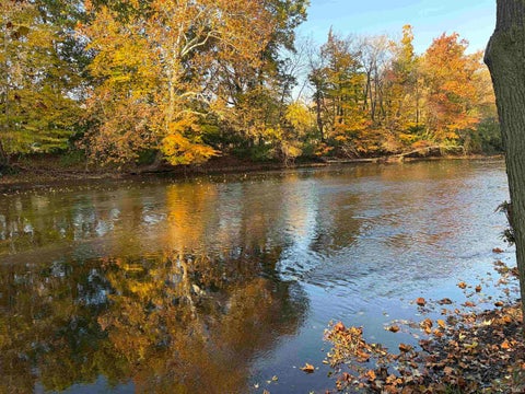 Tiny photo for 22348 Spicewood Drive, Goshen, IN 46528 (MLS # 202644959)