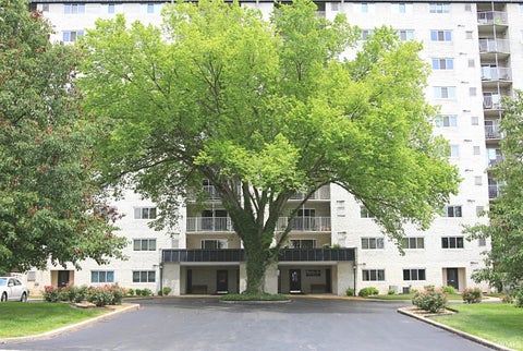 Photo for 600 S Cullen #802 Avenue