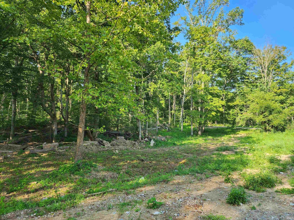 Photo of Tract 2 State Road 54, Springville, IN 47462 (MLS # 202632510)