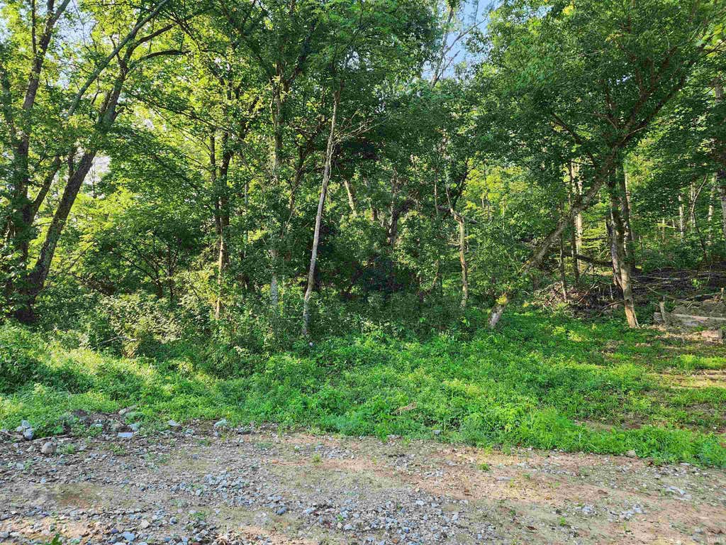 Photo of Tract 2 State Road 54, Springville, IN 47462 (MLS # 202632510)