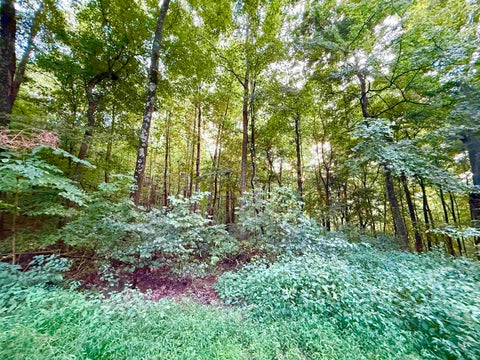 Tiny photo for 3457 S State Road 37, Paoli, IN 47454 (MLS # 202637593)