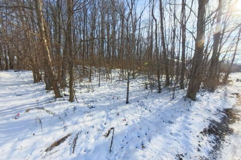 Photo of 2608 S Carlisle Street, South Bend, IN 46614 (MLS # 202549351)