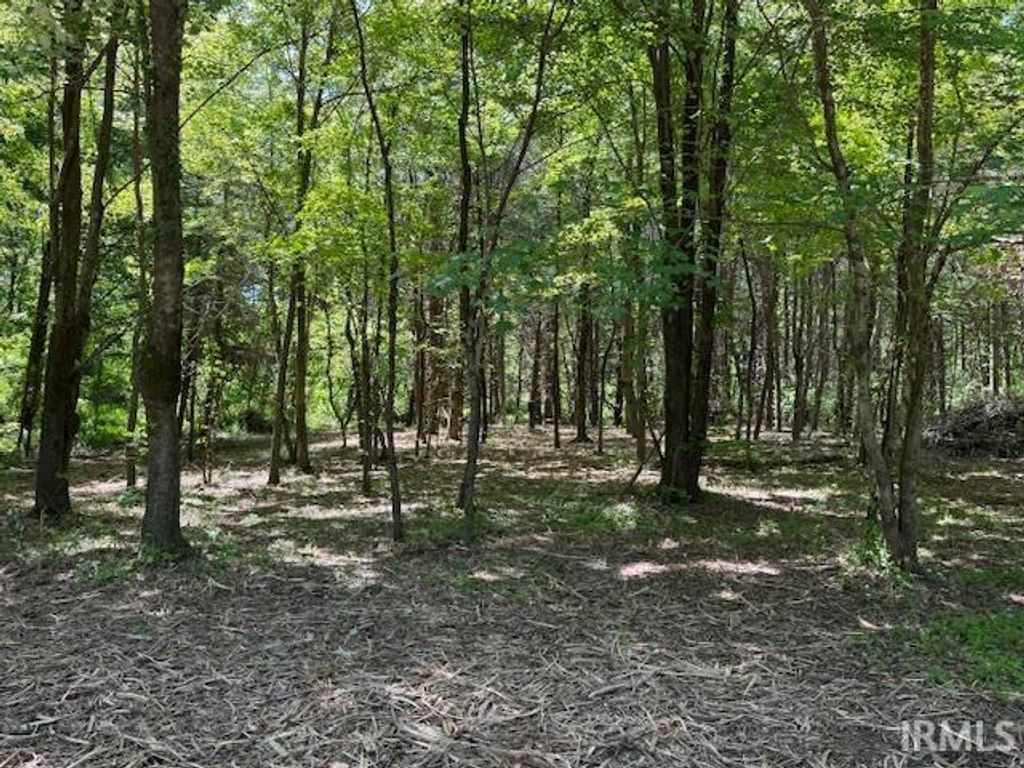 Photo of 8826 E Pleasant O'Haver Street, Carlisle, IN 47838 (MLS # 202618836)