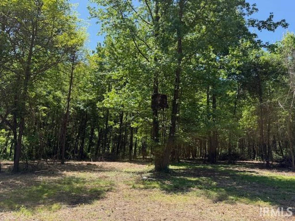 Photo of 8826 E Pleasant O'Haver Street, Carlisle, IN 47838 (MLS # 202618836)