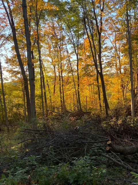 Tiny photo for 1900 N 175 E, Peru, IN 46970 (MLS # 202504608)