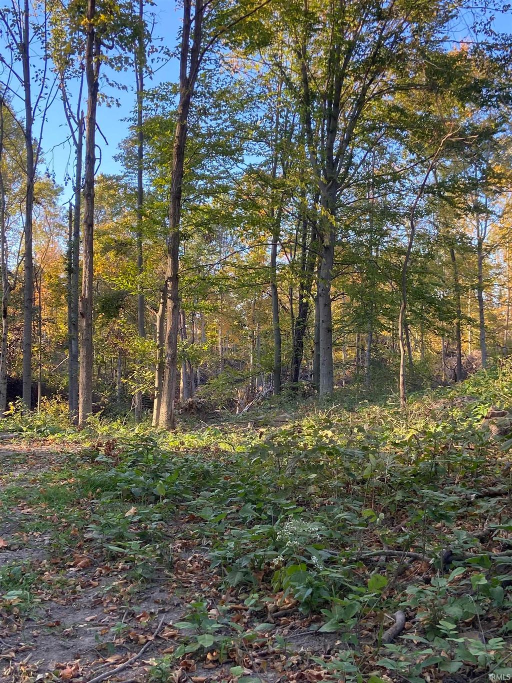 Photo for 1900 N 175 E, Peru, IN 46970 (MLS # 202504608)