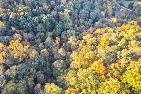 Tiny photo for 000 Sybil Road, Cannelton, IN 47520 (MLS # 202643807)