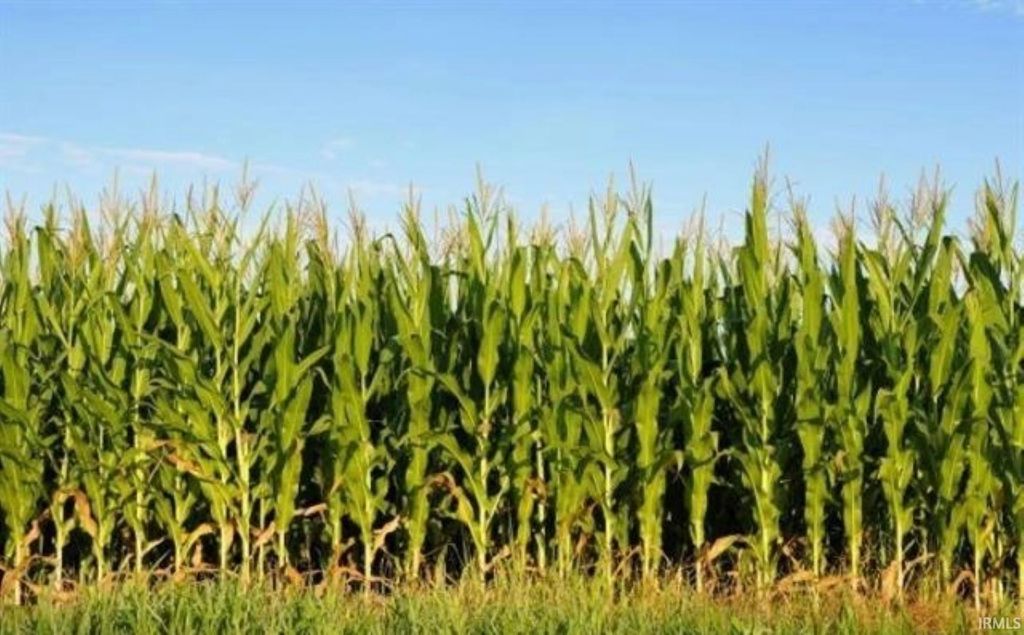 Photo of I 69 &amp; 700 N, Van Buren, IN 46991 (MLS # 202603375)