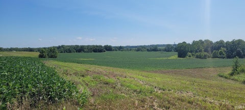 Tiny photo for 50.+/- Acres N Sycamore Road, Bicknell, IN 47512 (MLS # 202603815)