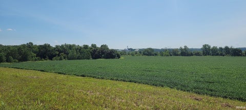 Tiny photo for 50.+/- Acres N Sycamore Road, Bicknell, IN 47512 (MLS # 202603815)