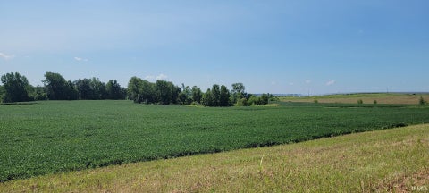 Tiny photo for 50.+/- Acres N Sycamore Road, Bicknell, IN 47512 (MLS # 202603815)