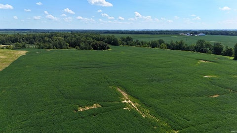 Tiny photo for 50.+/- Acres N Sycamore Road, Bicknell, IN 47512 (MLS # 202603815)