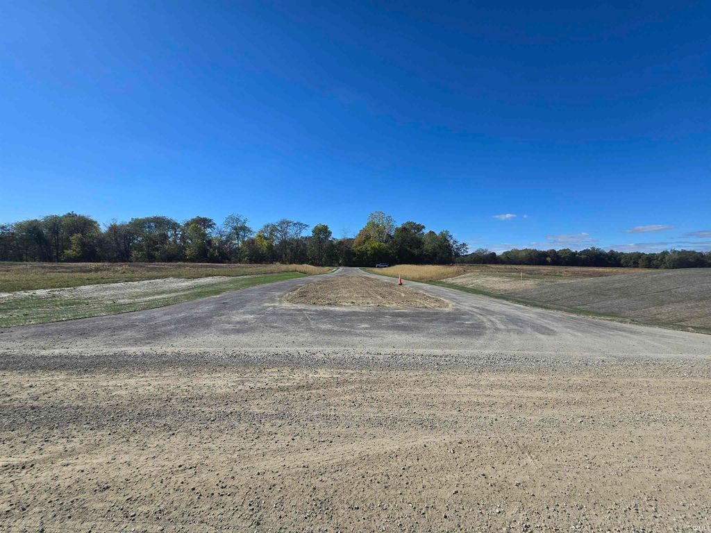 Photo of Lot1 County Road 17 Drive, Auburn, IN 46706 (MLS # 202541335)