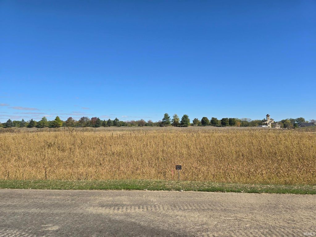 Photo of Lot1 County Road 17 Drive, Auburn, IN 46706 (MLS # 202541335)