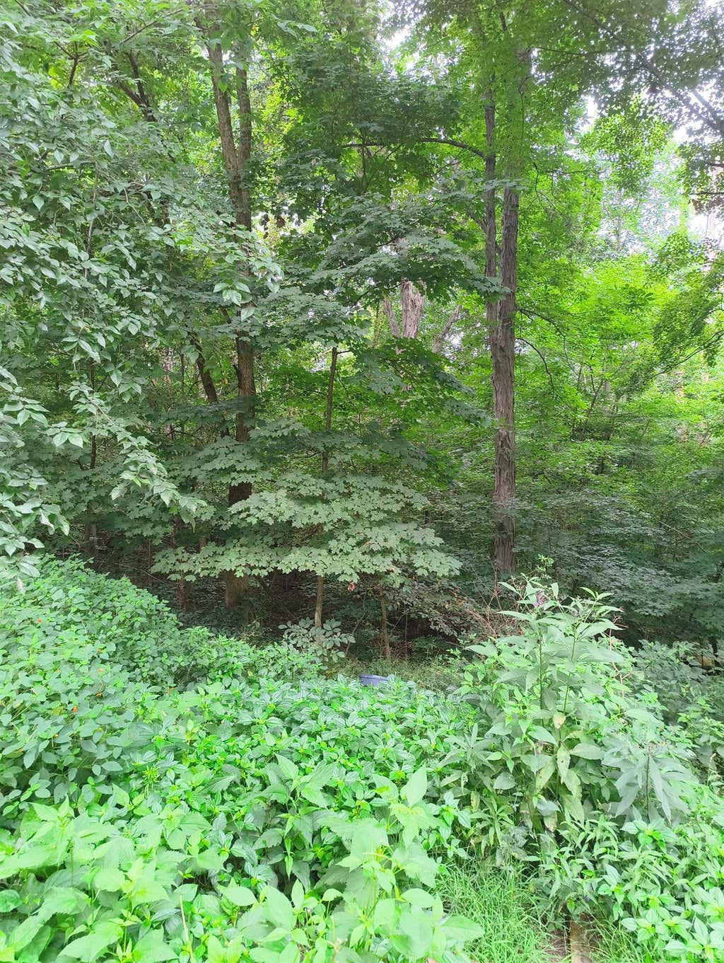 Photo of 1921 Country Club Road, Spencer, IN 47460 (MLS # 202631982)