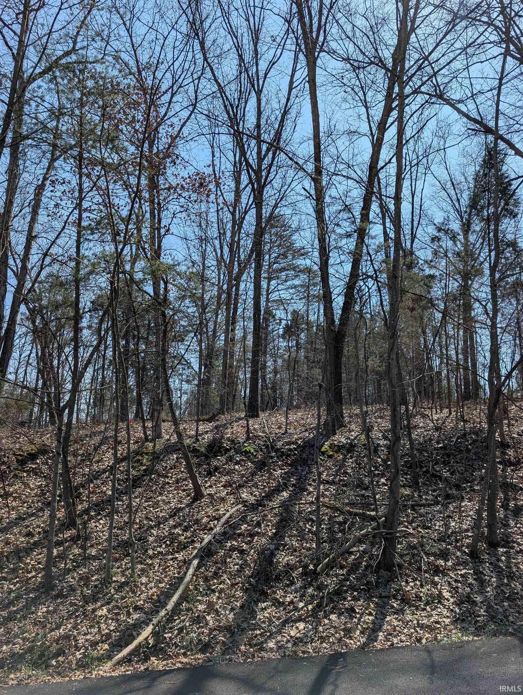 Photo of 0 E Brown Road, Santa Claus, IN 47579 (MLS # 202610582)