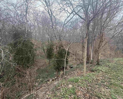Photo of 0 Lynwood St, Shoals, IN 47581 (MLS # 202607993)