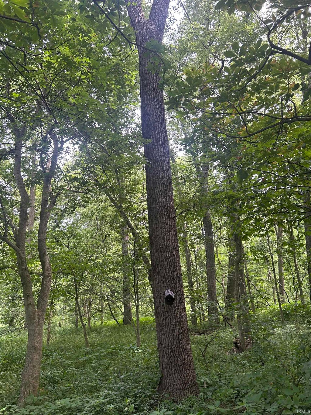 Photo of W 900 Highway, Franklin, IN 46131 (MLS # 202537998)