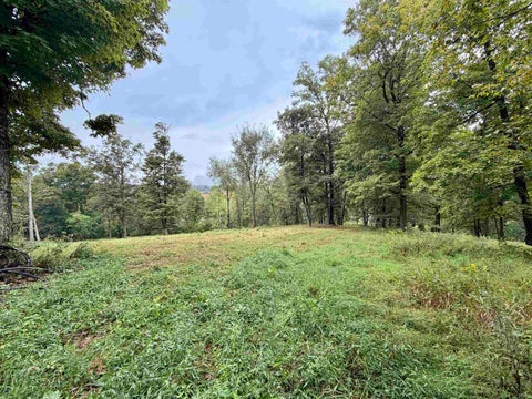 Tiny photo for S State Road 145, French Lick, IN 47432 (MLS # 202638034)