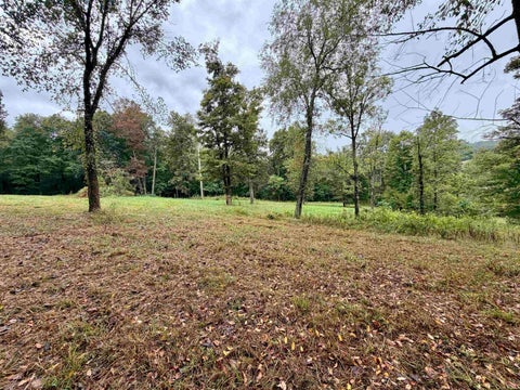 Tiny photo for S State Road 145, French Lick, IN 47432 (MLS # 202638034)