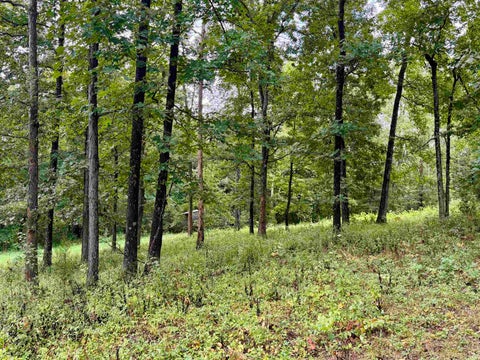 Tiny photo for S State Road 145, French Lick, IN 47432 (MLS # 202638034)