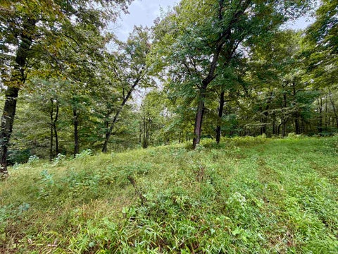 Tiny photo for S State Road 145, French Lick, IN 47432 (MLS # 202638034)