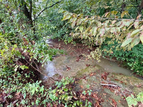 Tiny photo for S State Road 145, French Lick, IN 47432 (MLS # 202638034)