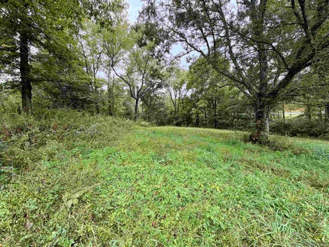 Tiny photo for S State Road 145, French Lick, IN 47432 (MLS # 202638034)