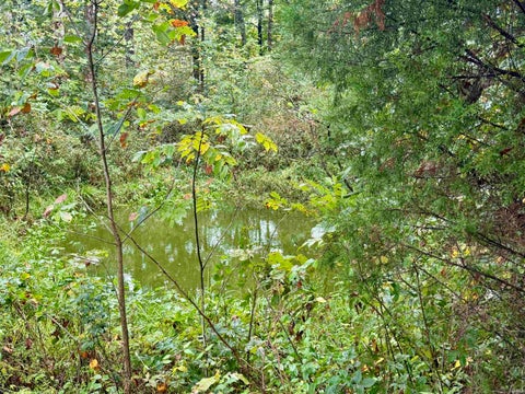 Tiny photo for S State Road 145, French Lick, IN 47432 (MLS # 202638034)